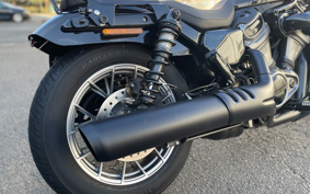 HARLEY RH975S NIGHT STAR 2024 ZF1