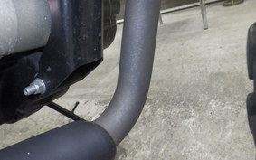 OTHER +MUTTｻﾊﾞｽ250