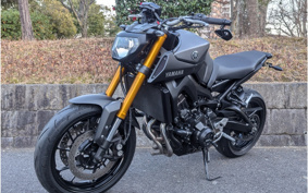 YAMAHA MT-09 2016 RN34J