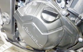 KAWASAKI Z250 ER250C