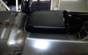 TRIUMPH DAYTONA660 2025