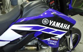 YAMAHA WR250X DG15J