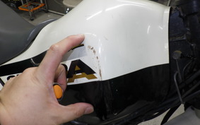 KAWASAKI SUPER SHERPA 2026 KL250G