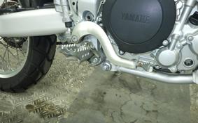 YAMAHA WR250R 2023 DG15J