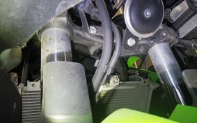 KAWASAKI NINJA 250 2021 EX250P