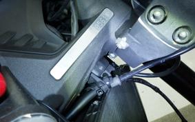 DUCATI MONSTER 937 + 2021