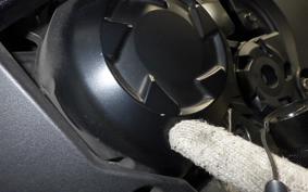 KAWASAKI NINJA 1000 SX 2021 ZXT02K