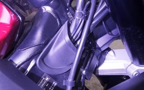 TRIUMPH DAYTONA 660 2024