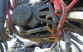 HONDA MTX50R AD06