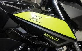 KAWASAKI Z250 Gen.2 2007 EX250P