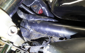 KAWASAKI BALIUS 250 Gen.2 2024 ZR250B