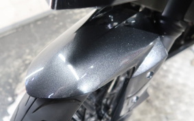 KAWASAKI NINJA 250 EX250L