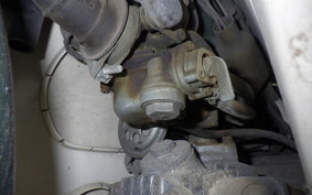 HONDA C50 SUPER CUB 2021 AA01