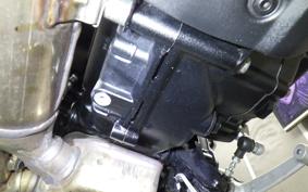 TRIUMPH SPEED 400 2024