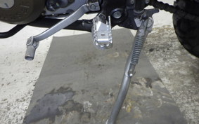 KAWASAKI KLX250 2024 LX250E