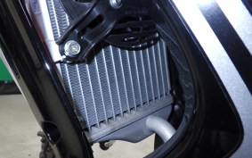 HONDA CRF250 RALLY LDA MD44