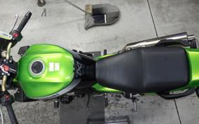 KAWASAKI ZRX1200 D 2011 ZRT20D