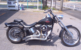 HARLEY HARLEY FXSTC1340 2006 JL5