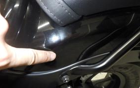 HONDA REBEL 250 A 2010 MC49