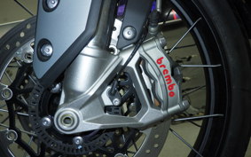 TRIUMPH TIGER 900 RALLY PRO 2023