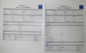 YAMAHA X-MAX 250 A SG42J