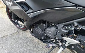 KAWASAKI NINJA 250 EX250P