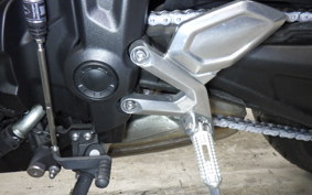 TRIUMPH TRIDENT 660 2021