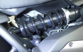 KAWASAKI VULCAN 650 SA 2024 EN650M