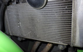 KAWASAKI NINJA 250 EX250L