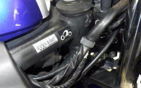 YAMAHA YZF-R25 RG10J