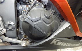 KAWASAKI NINJA 250 2009 EX250L