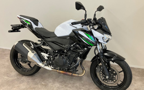 KAWASAKI Z250ABS