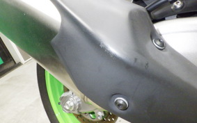 KAWASAKI ZX-4RR 2024 ZX400P