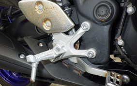 YAMAHA YZF R-3 2019 RH13J
