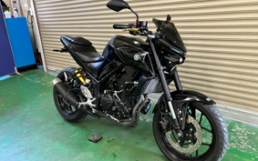 YAMAHA MT-25 ABS RG43J