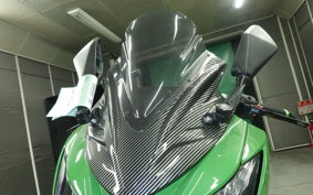 KAWASAKI NINJA 250 2010 EX250L