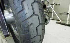 HARLEY FXST1750 2025