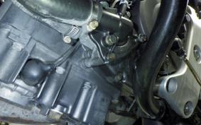 HONDA HORNET 250 2006 MC31