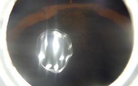 HONDA MAGNA 250 S 2021 MC29