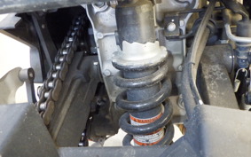 KAWASAKI NINJA 250 EX250P