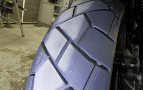 HONDA CL250-2 2019 MC57
