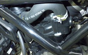 HUSQVARNA SVARTPILEN 401 2022