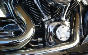 HARLEY FLSTC 2005 BJY