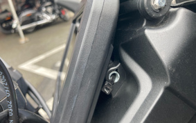 HARLEY PAN AMERICA 1250 2021 ZDS
