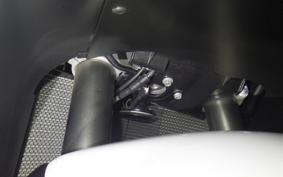 KAWASAKI ZX 1400 NINJA R A 2021
