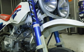 HONDA MONKEY BAJA 2024 Z50J