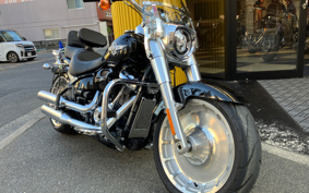 HARLEY HARLEY FLFBS 2017 YGK