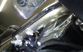 HARLEY FLI1870 2025