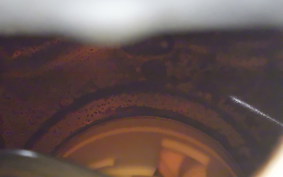 HONDA CBR1000RR ABS 2012 SC59