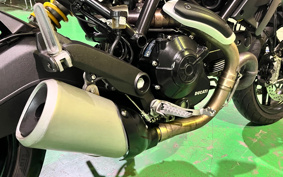 DUCATI  DUCATI  MONSTAR 797 PLUS  2020 MD01